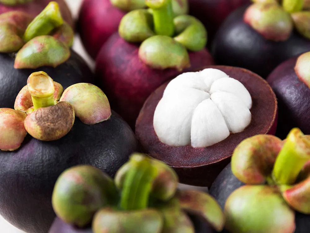 Mangosteen(1)