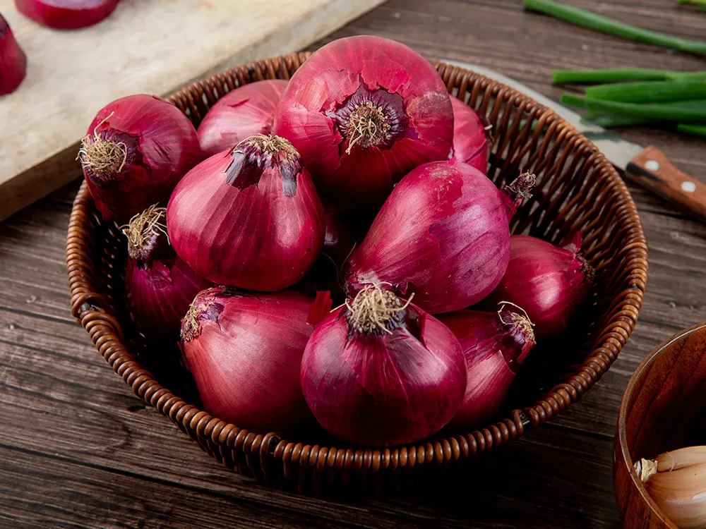 Shallot(2)