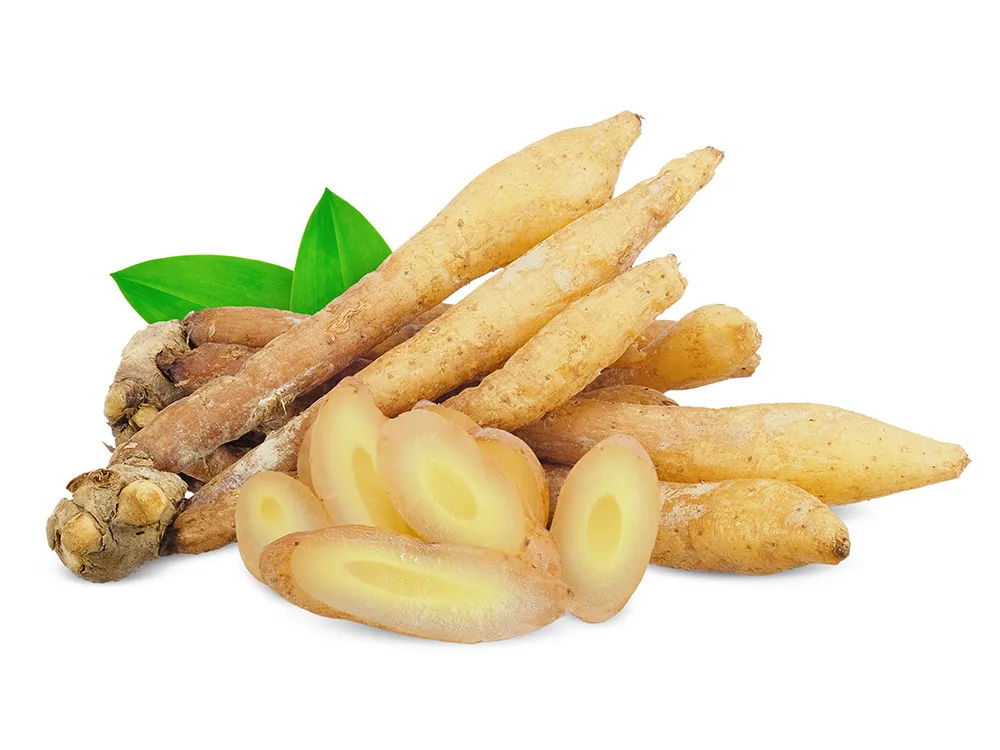 ปกFrozen-Finger-Root