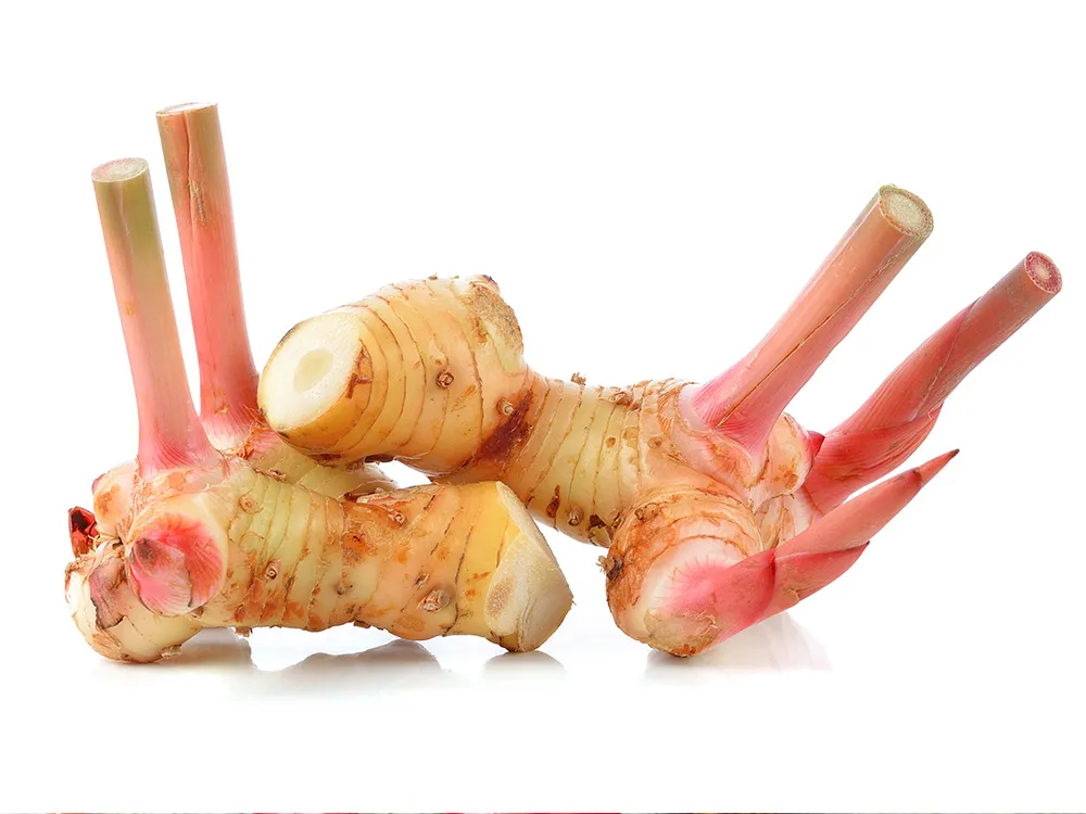 ปกFrozen-Galangal