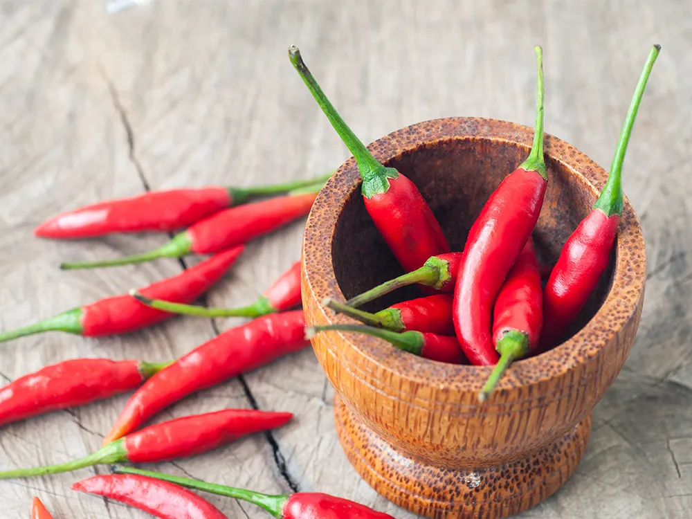 ปกFrozen-Red-Chilli