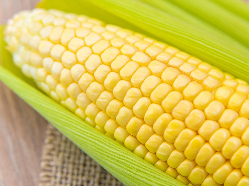 ปกSweet-Corn