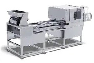 PeanutsNutsOpticalColorSorterSortingMachine