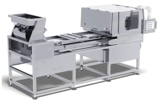 TCS600S1