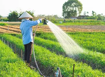 ธุรกิจเกษตร-608621519423