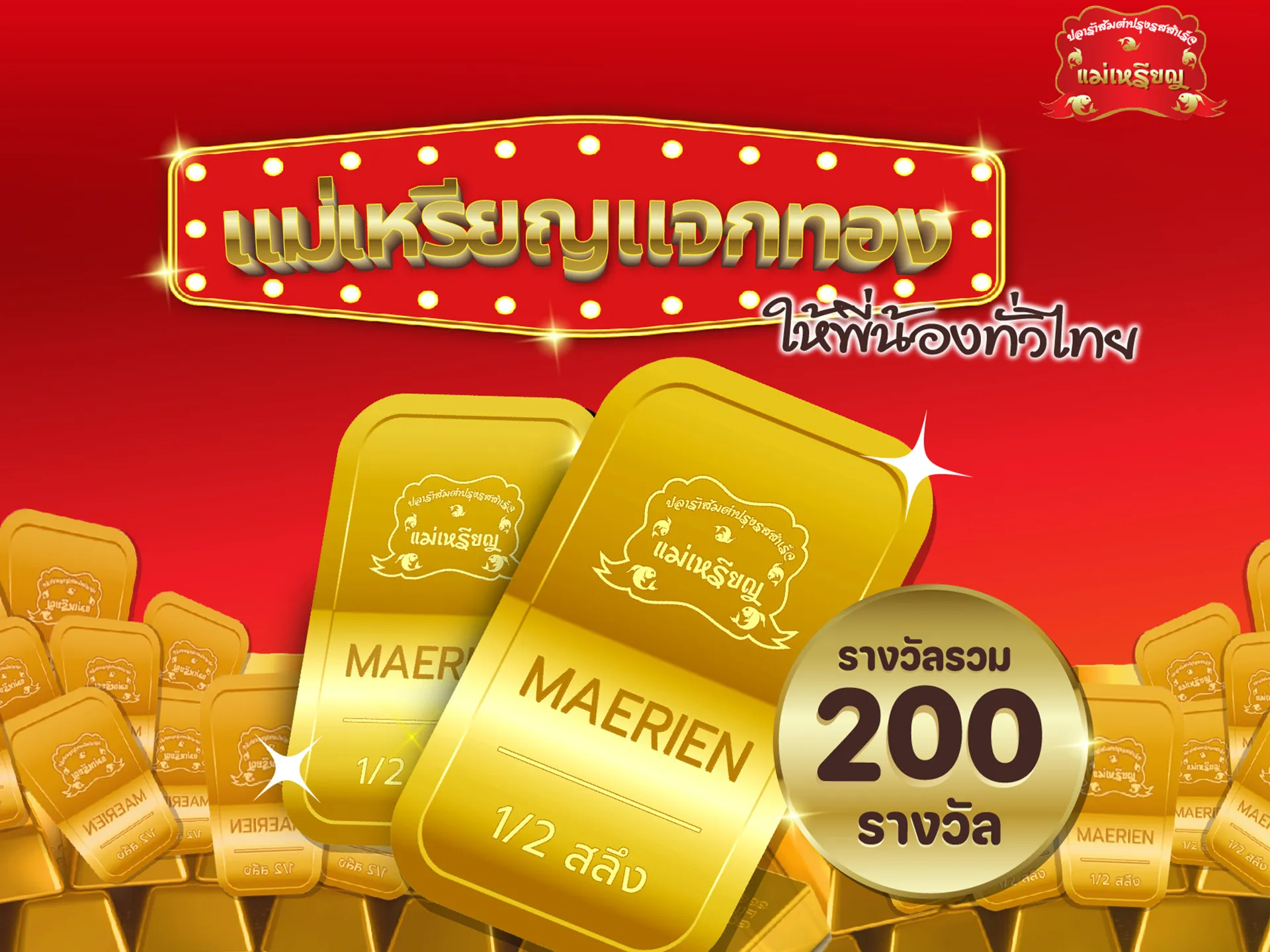 แคมเปญแม่เหรียญ(2)