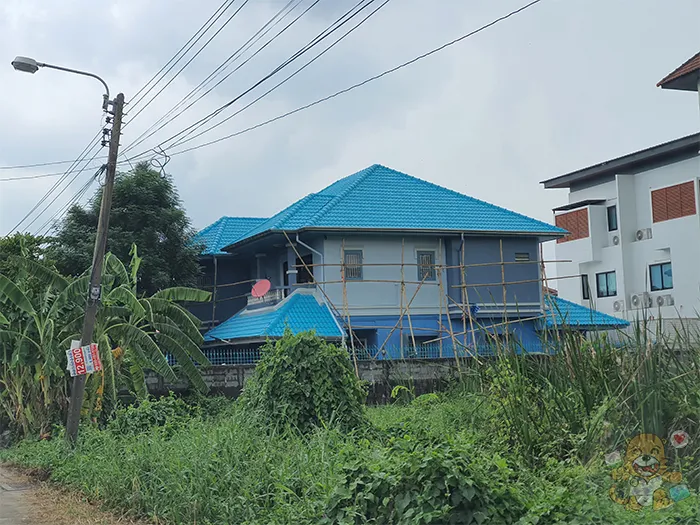 ทาสีกัน1
