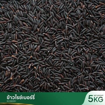 ข้าวไรซ์เบอร์รี่
