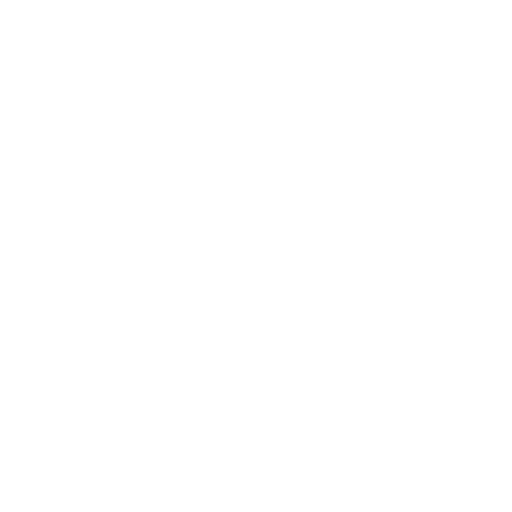 icon-serv04