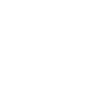 ic-pin