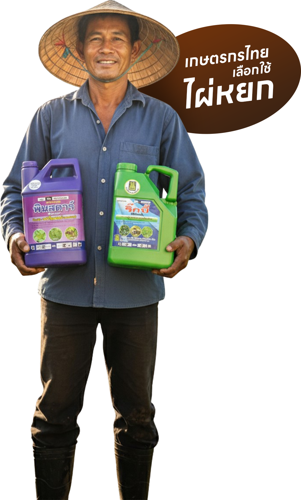 bg3