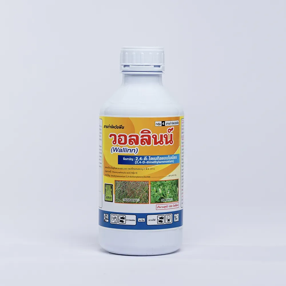 วอลลินน์1820517687545