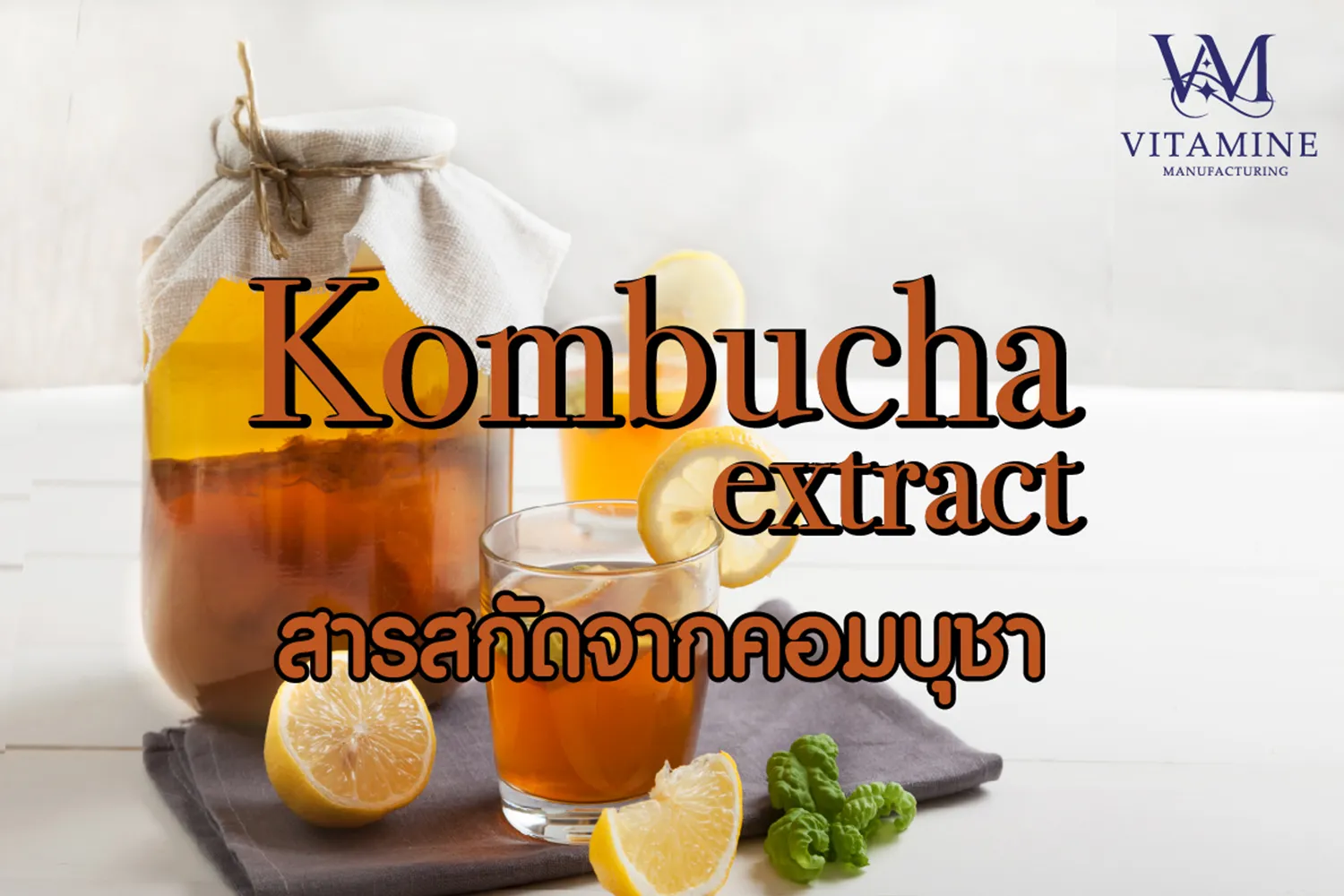 1คอมบุชา