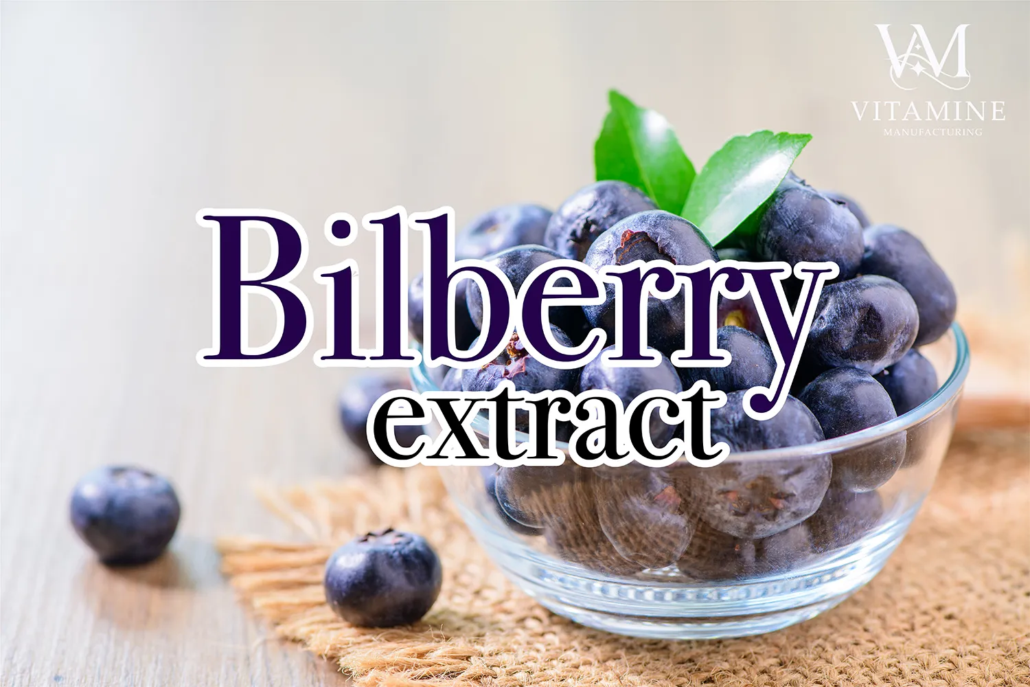 2bilberry