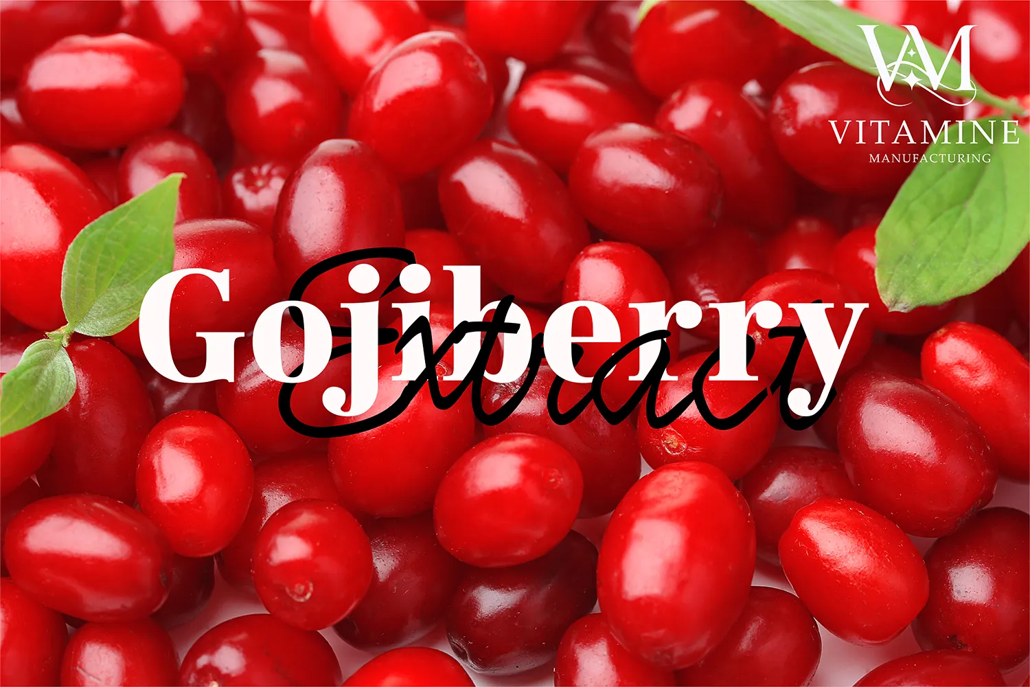 3goji