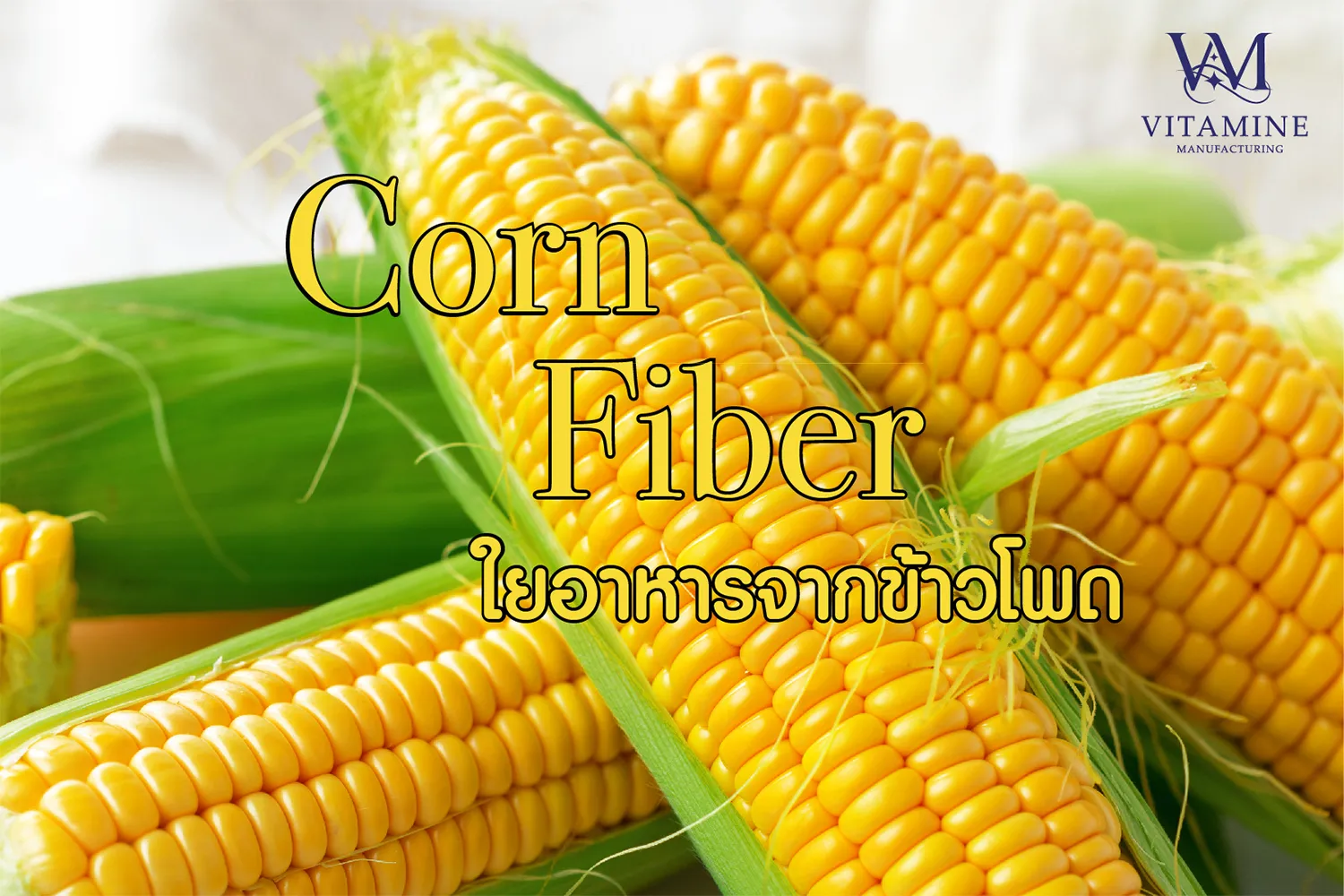 3ไฟเบอร์ข้าวโพด