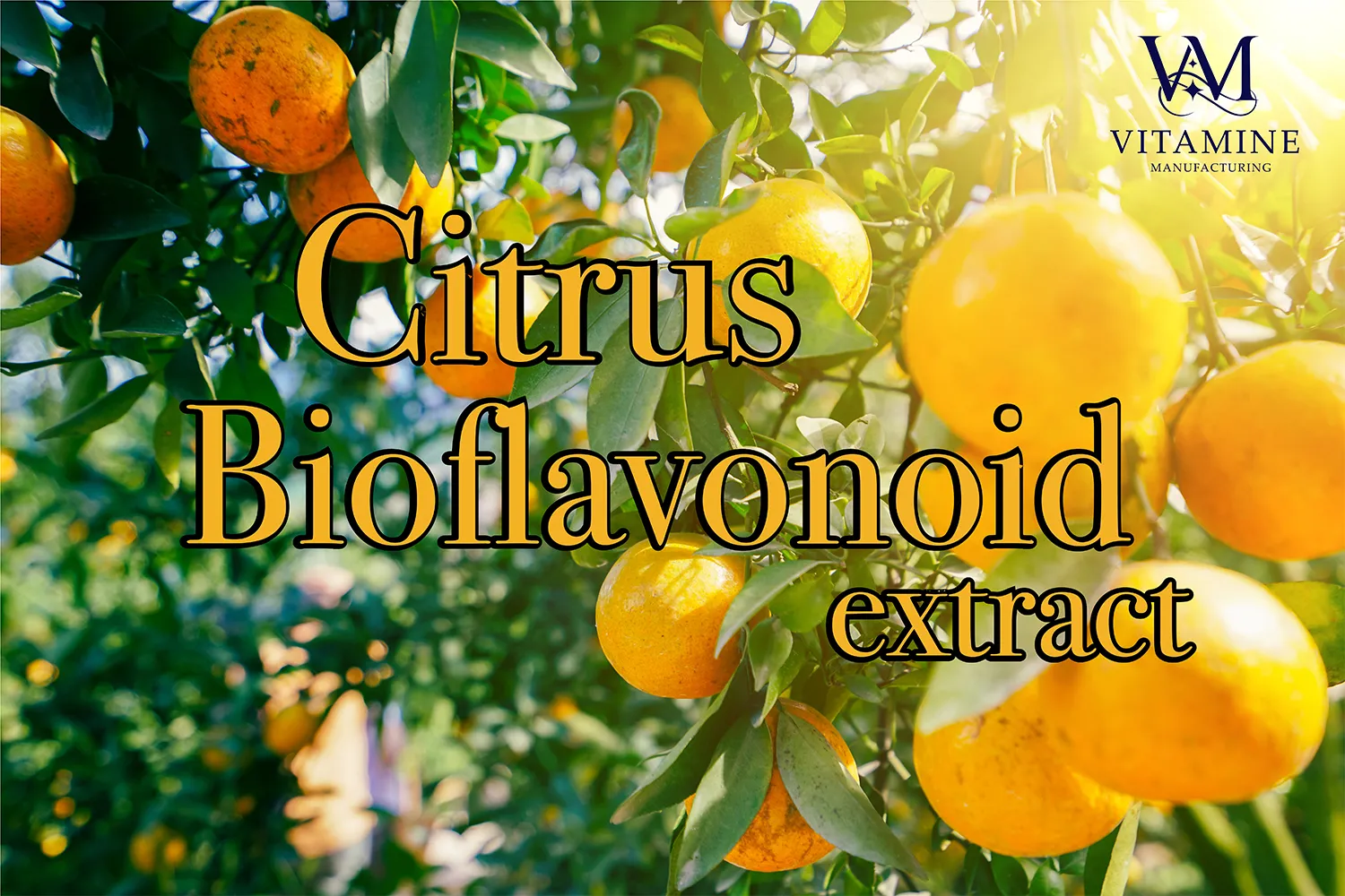 5citrus