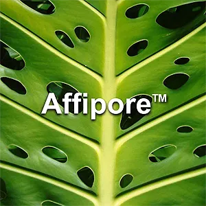 AffiporeSmall