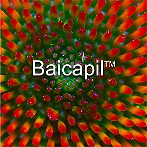 BaicapilSmall
