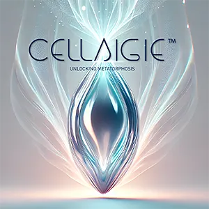 Ccellaigie-Small