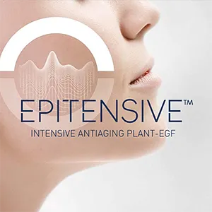 EpitensiveSmall