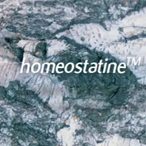 HomeostatineSmall