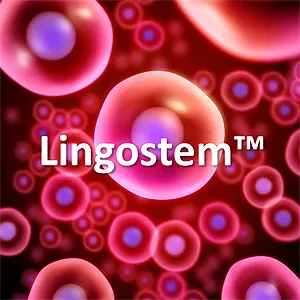 LingostemSmall
