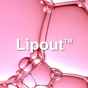 LipoutSmall