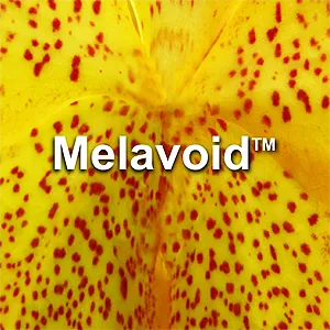 MelavoidSmall