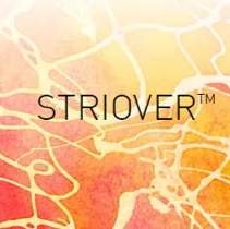 StrioverSmall