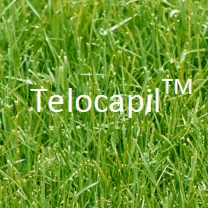 Telocapil