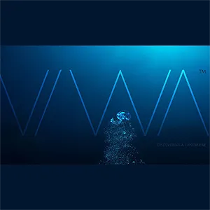 VIWASmall