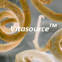 VitasourceSall