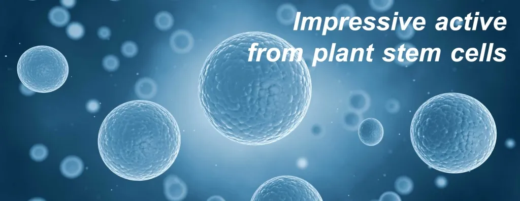 Stemcell