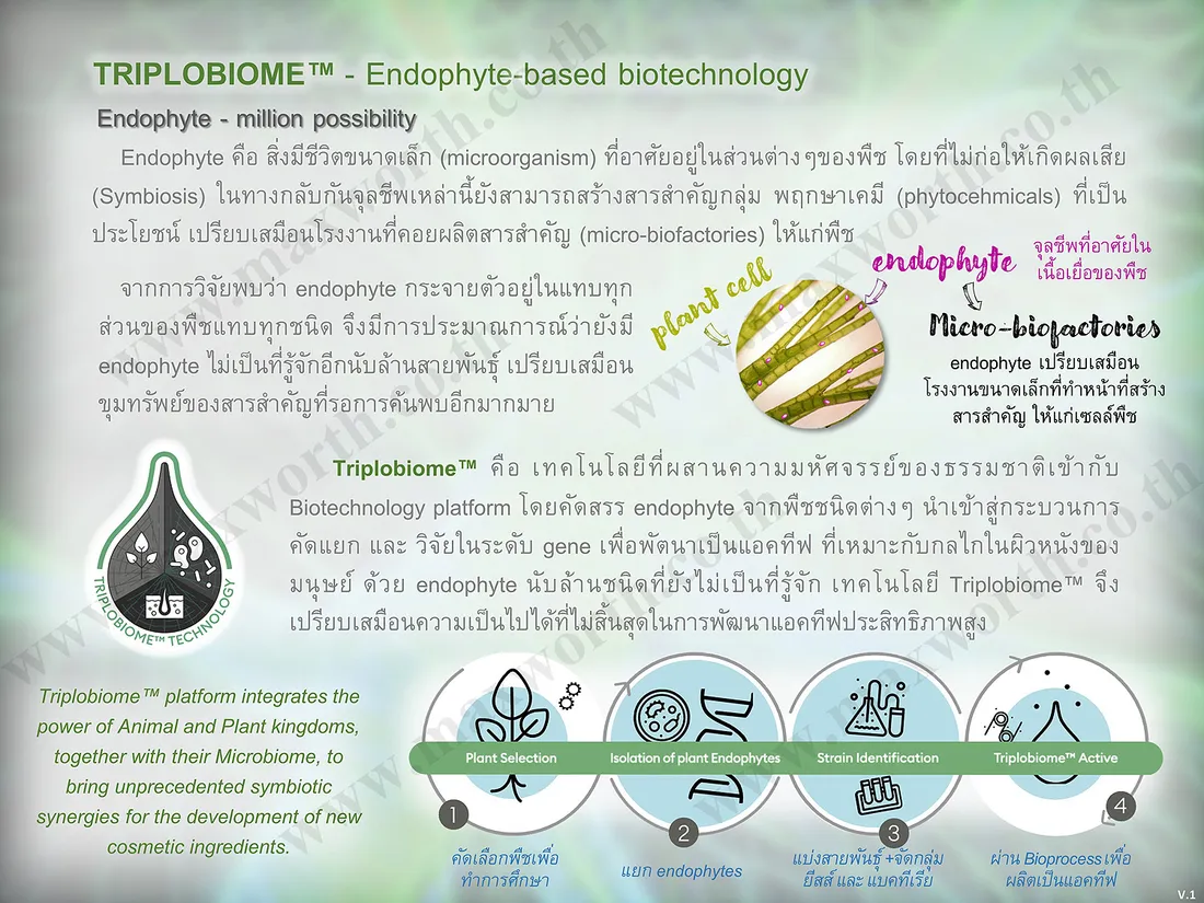 CoverTriplobiomeV