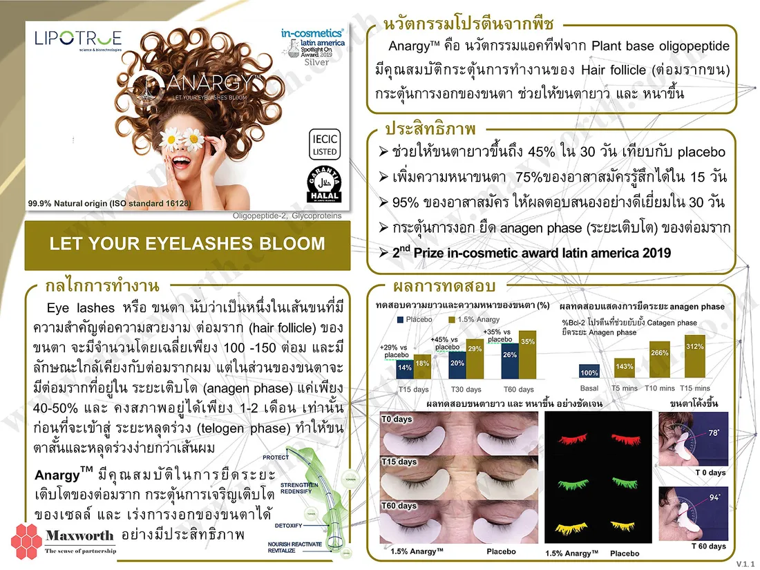 SummarizeAnargy-eyelashV