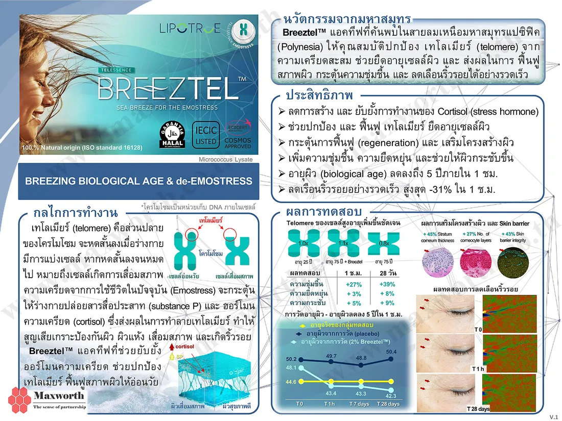 SummarizeBreeztelV