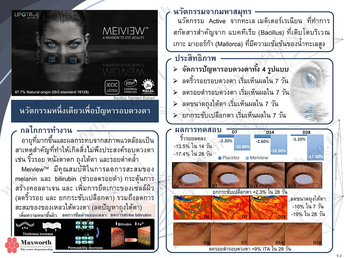 SummarizeMeiviewV