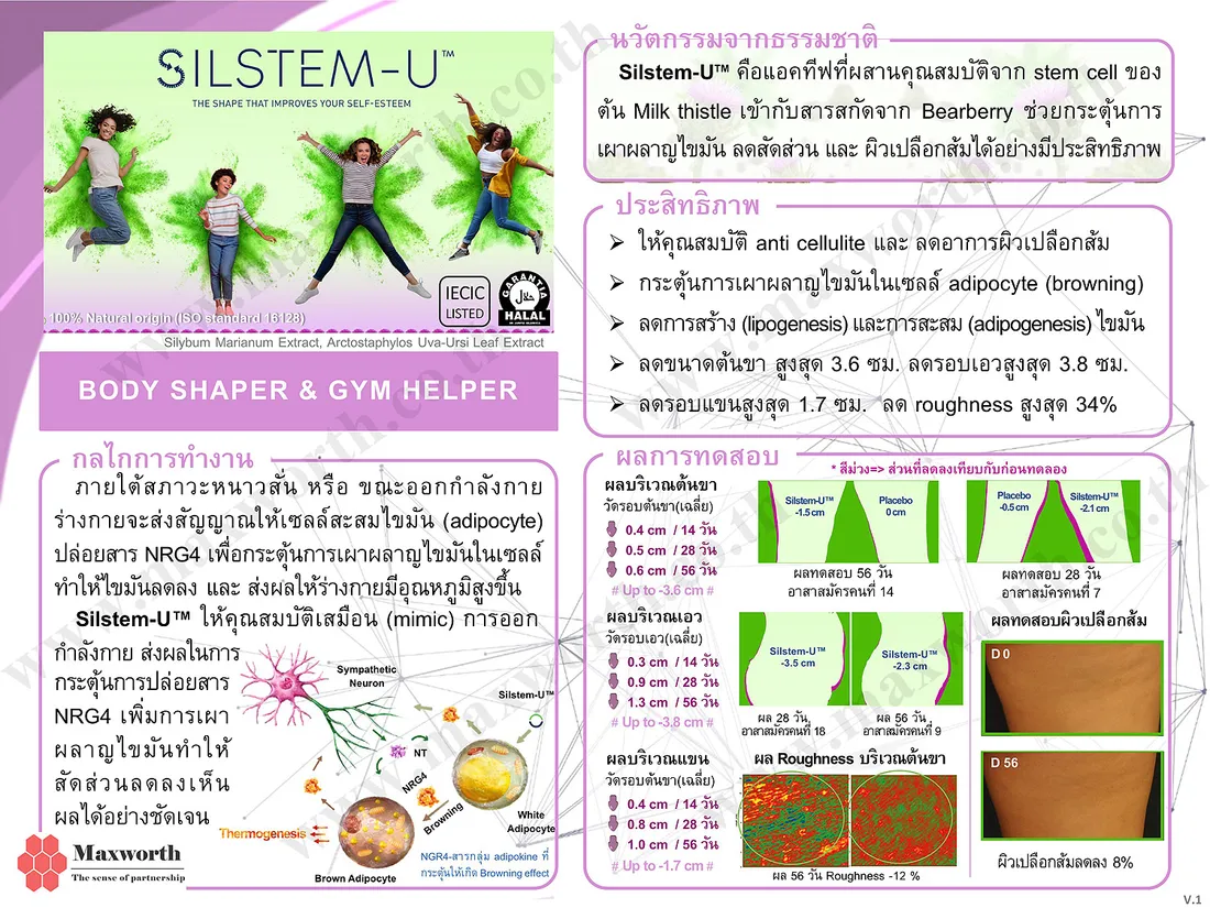 SummarizeSilstem-UV