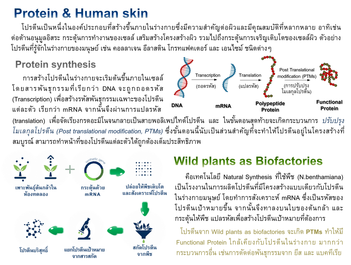 Protein&Humanskin