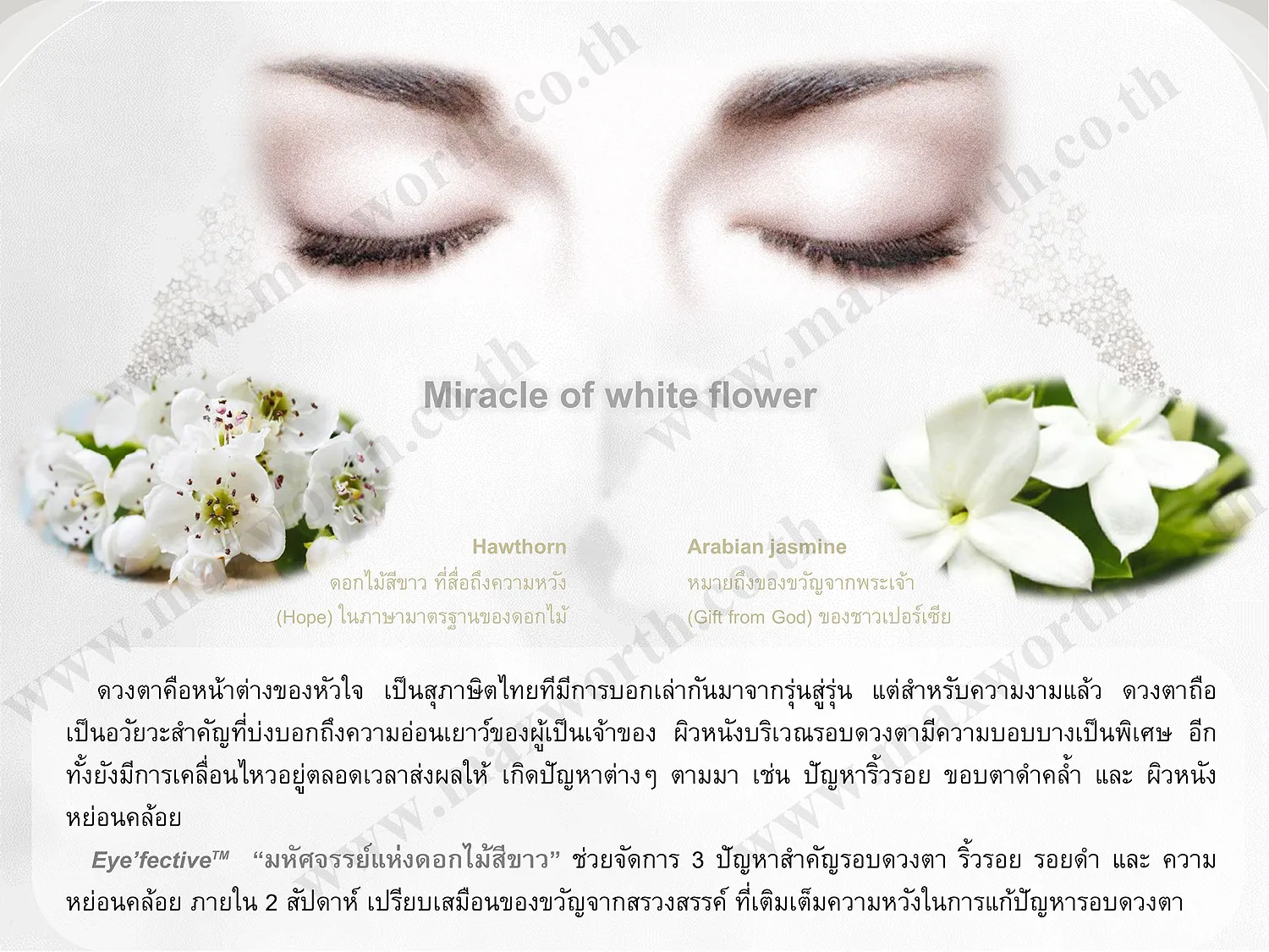 SummarizeEye'fectiveV