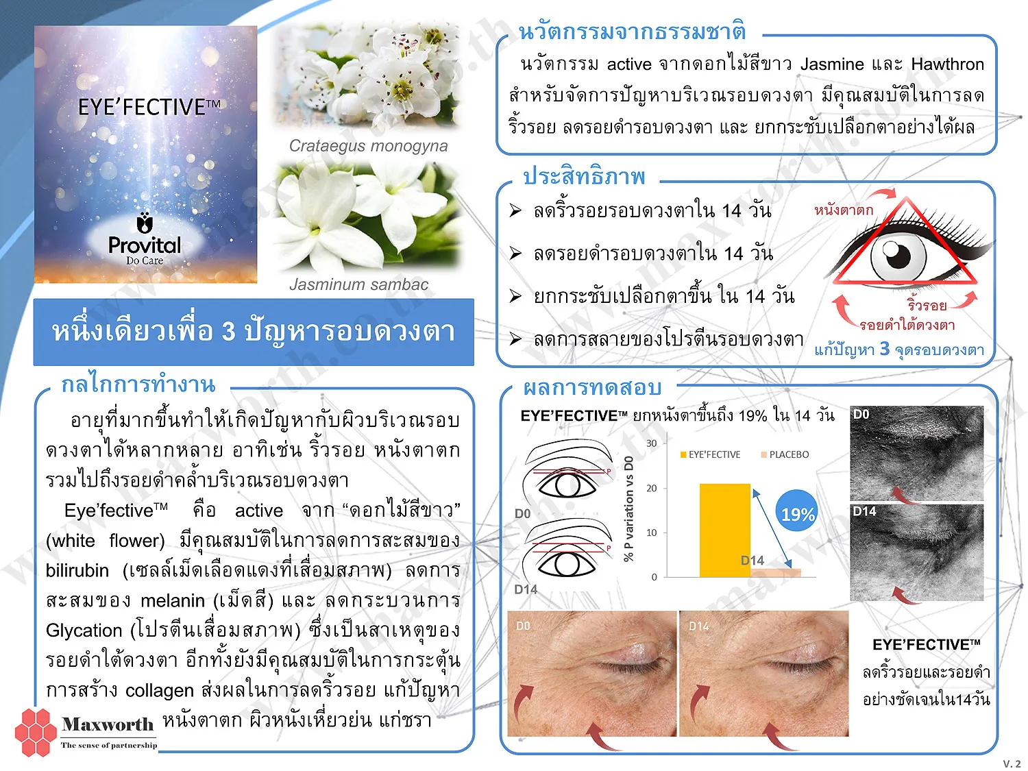 SummarizeEye'fectiveV