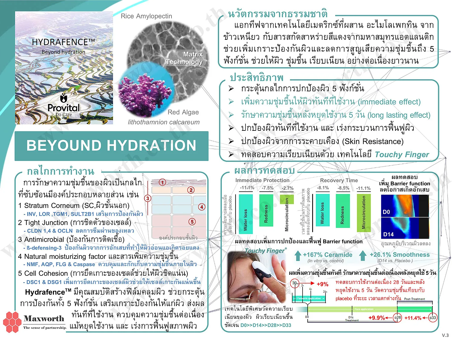 SummarizeHydrafenceV