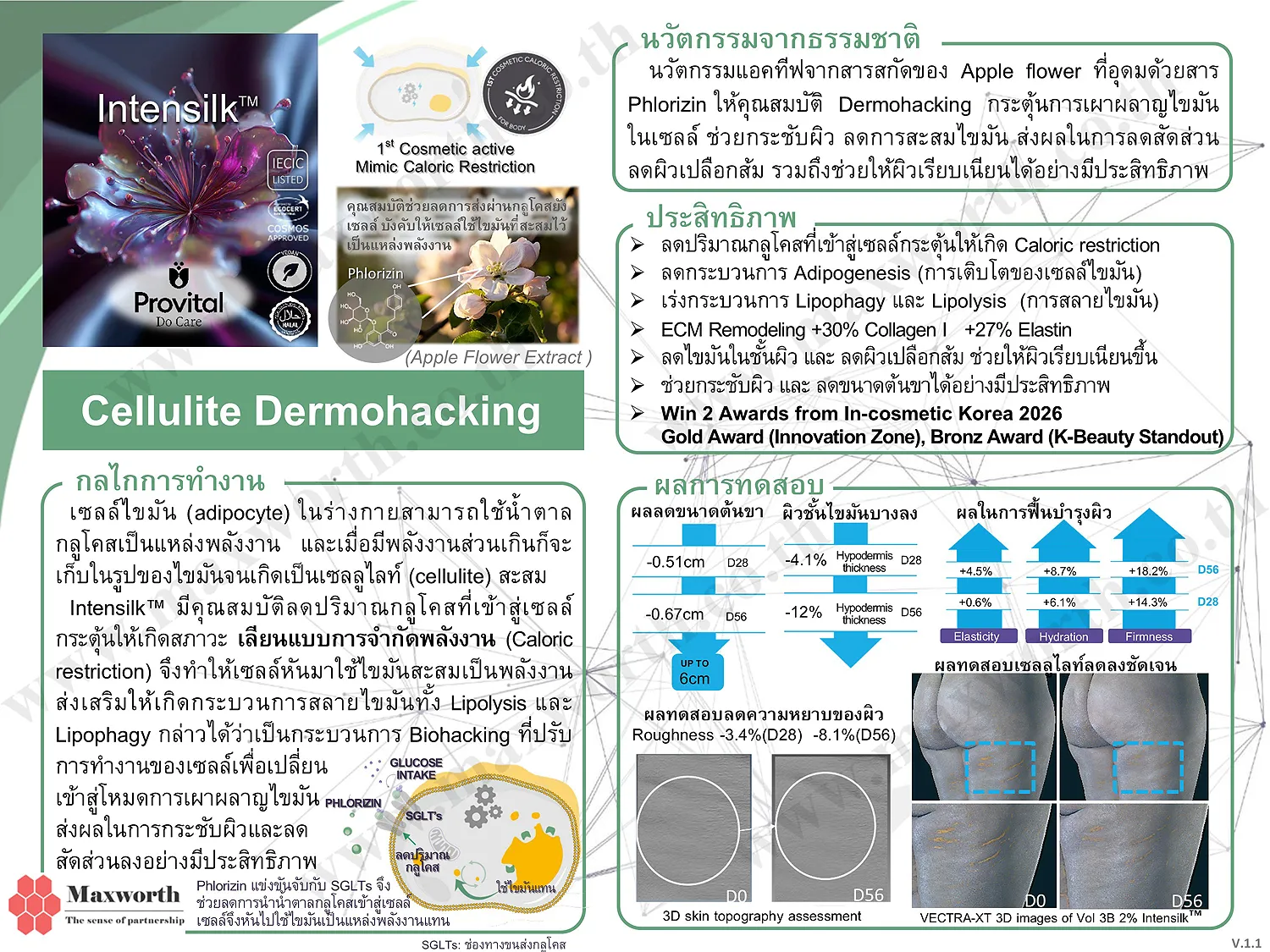 Summarize Intensilk V.1.1