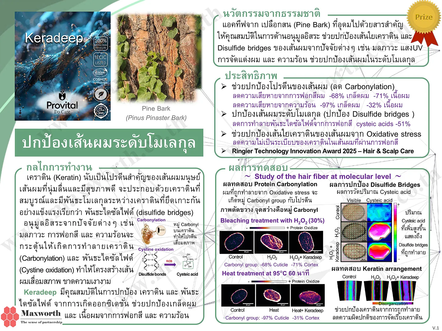 Summarize Keradeep V.1.1