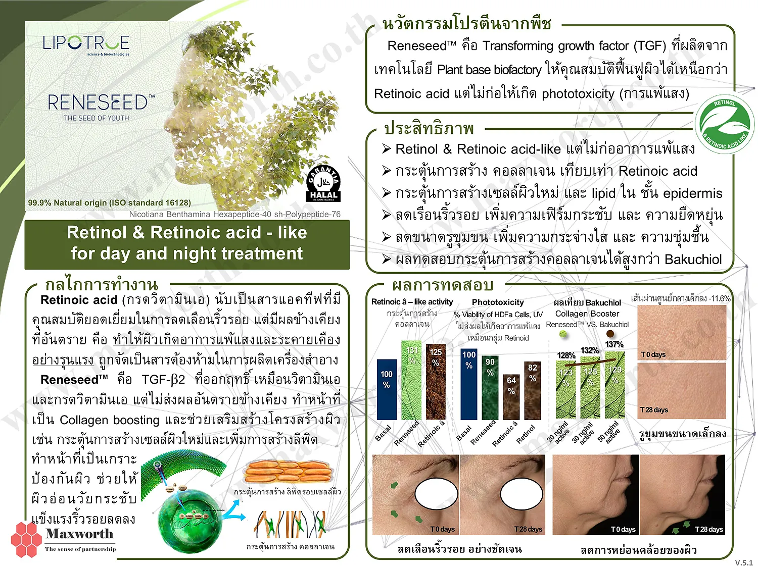 Summarize Reneseed V.5.1-2