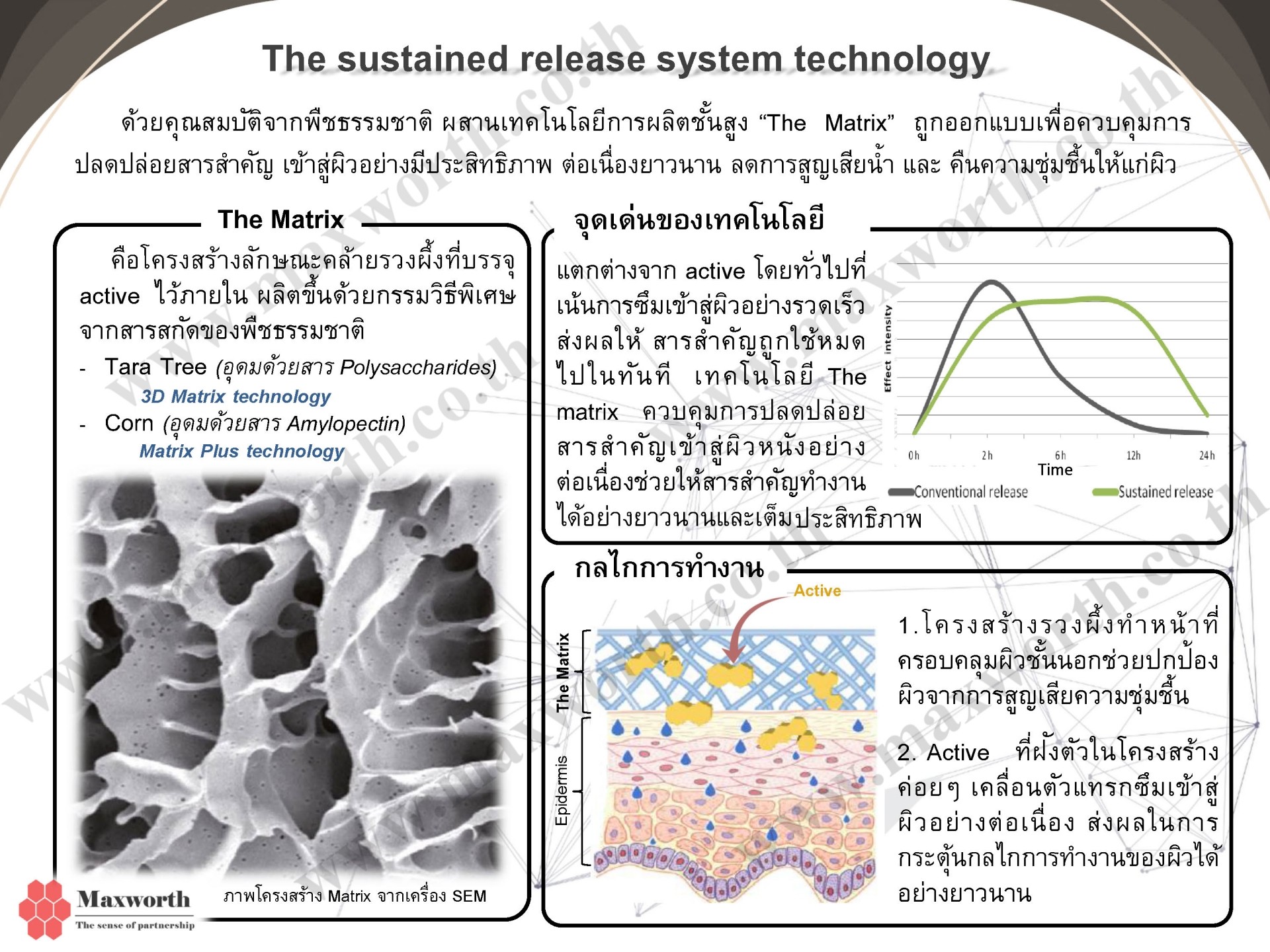 The Matrix – The impressive Natural technology