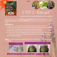 Baicapil