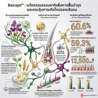 BaicapilInfo