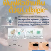 Cellaigie1